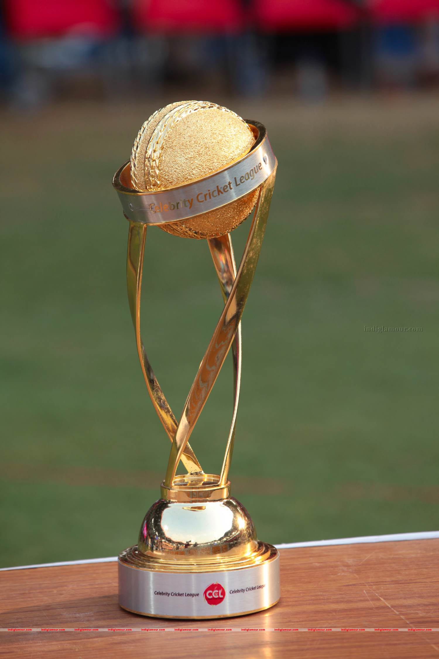 Chennai Rhinos Vs Bhojpuri Dabangs Match Photos Event hd photo
