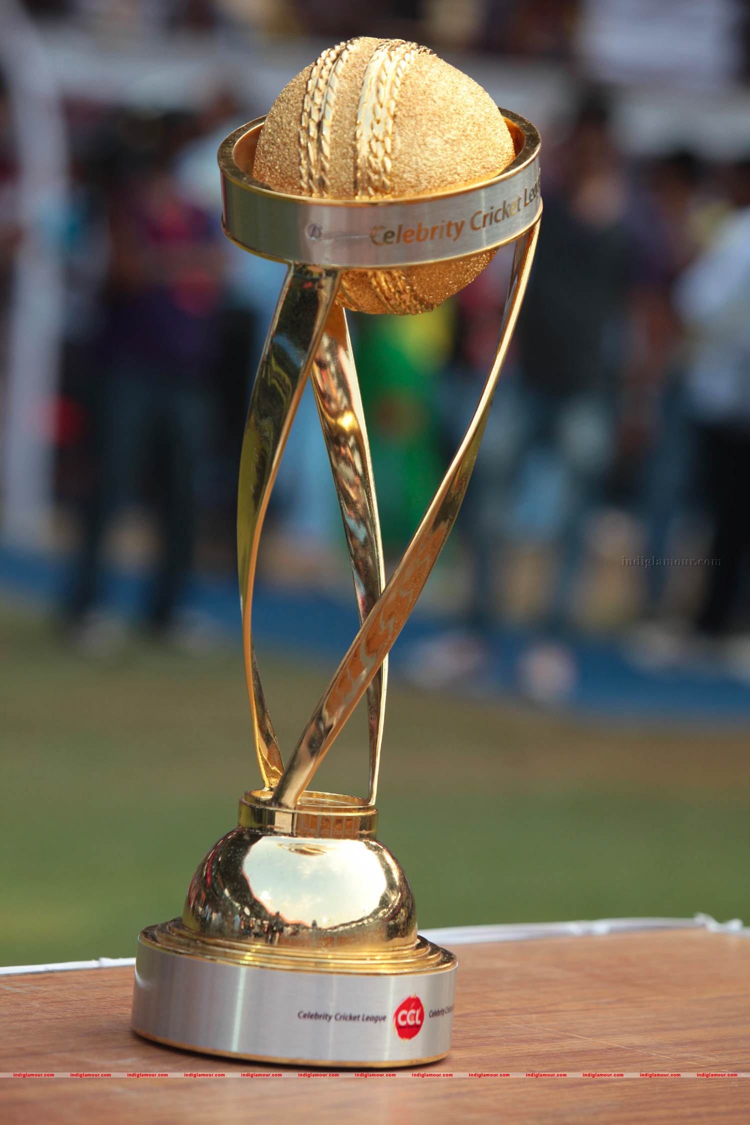 Chennai Rhinos Vs Bhojpuri Dabangs Match Photos Event hd photo