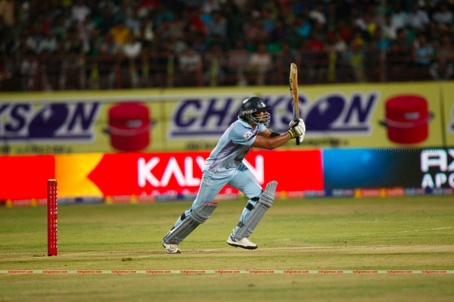 Chennai Rhinos Vs Bhojpuri Dabangs Match Photos Event hd photo