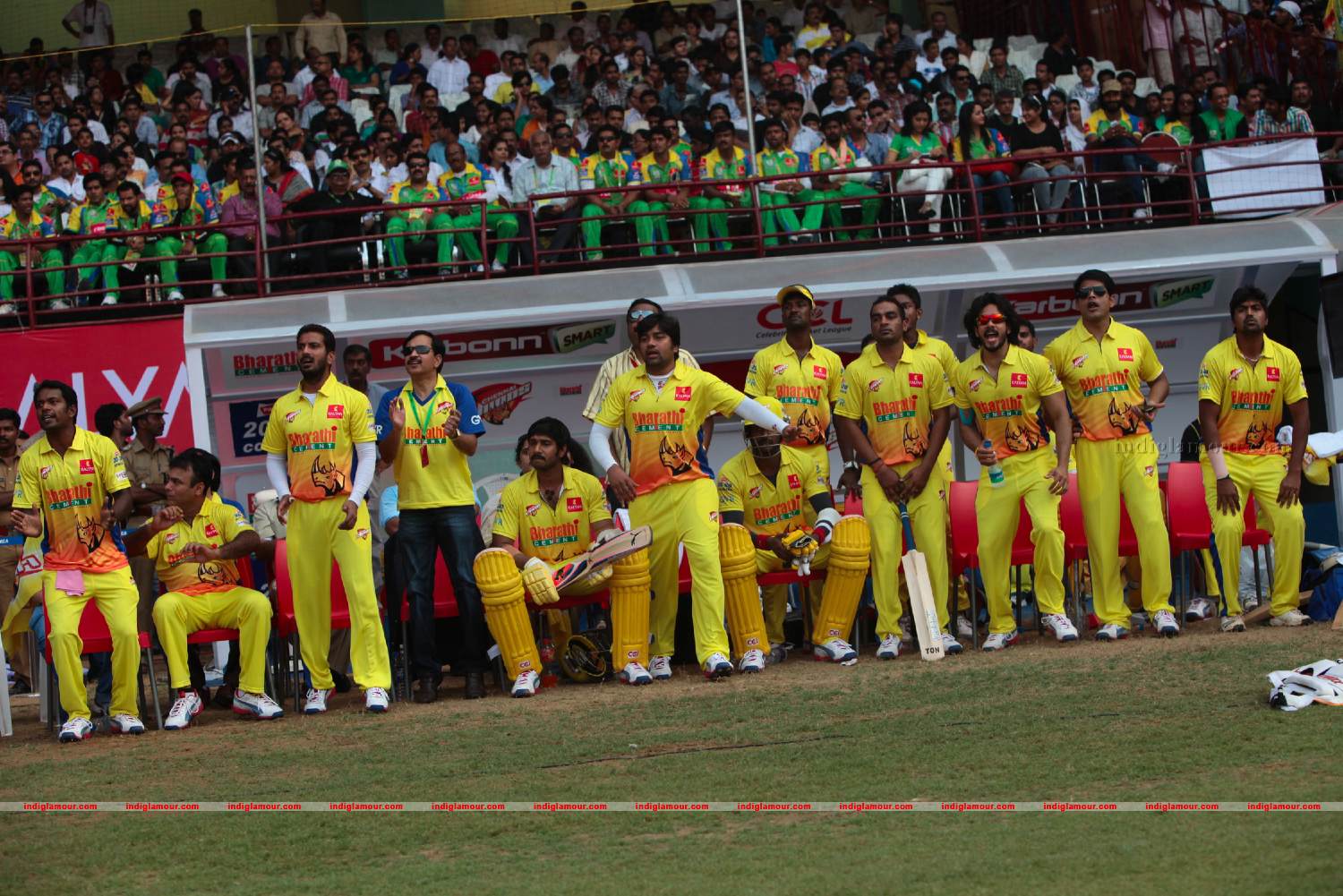 Chennai Rhinos Vs Bhojpuri Dabangs Match Photos Event hd photo