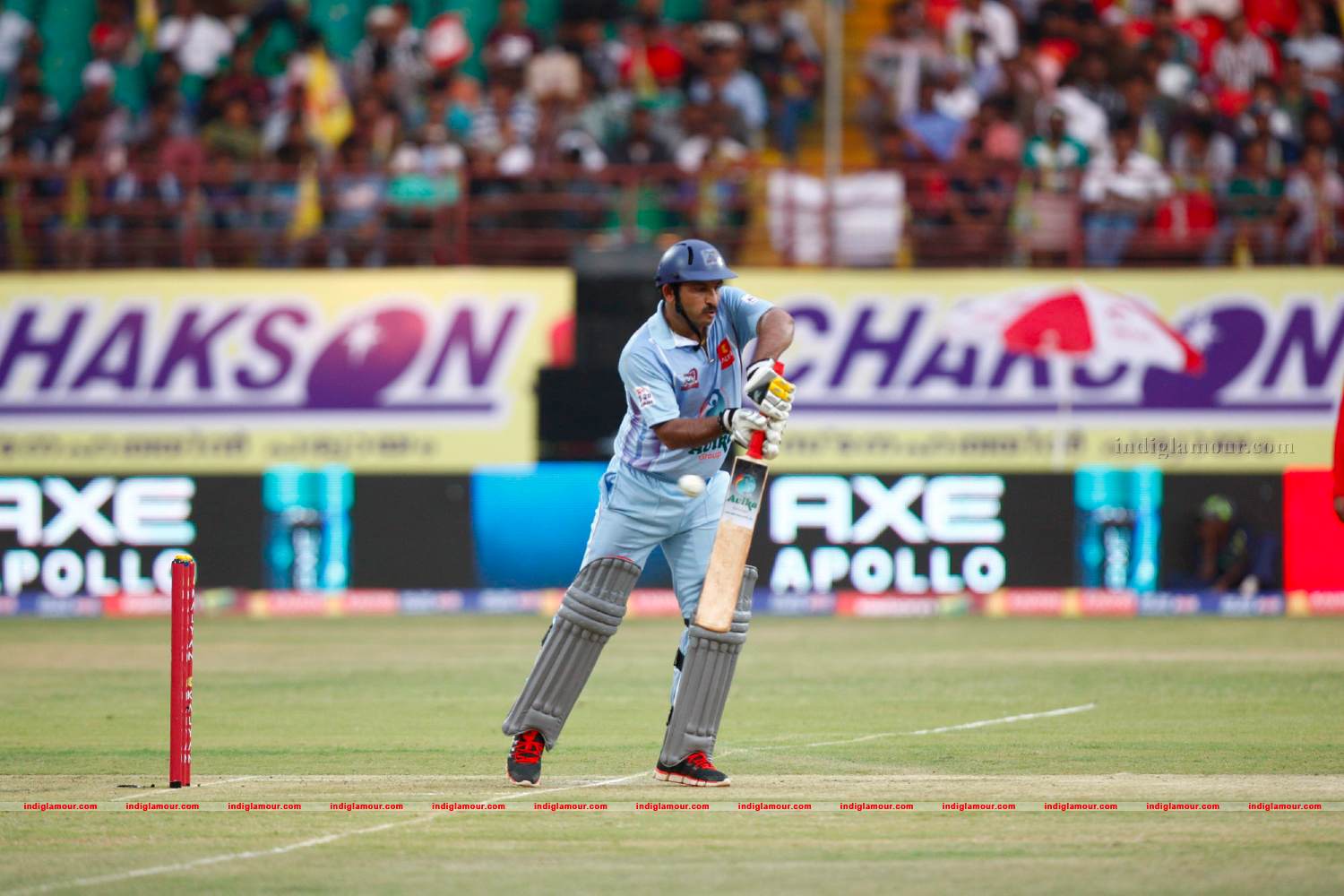 Chennai Rhinos Vs Bhojpuri Dabangs Match Photos Event hd photo