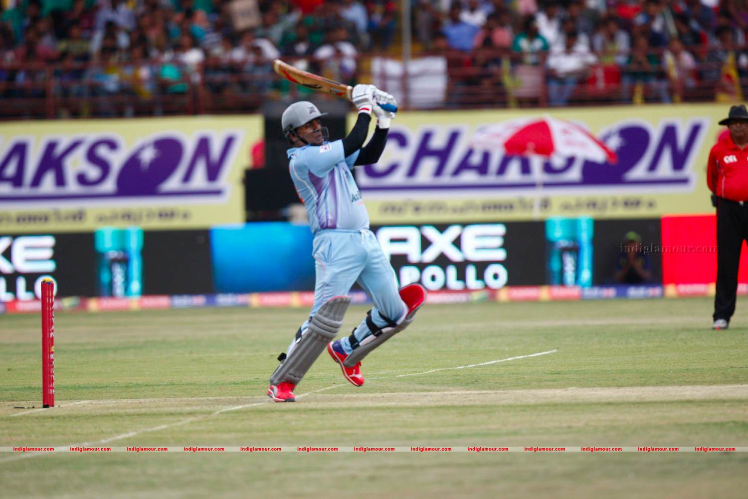 Chennai Rhinos Vs Bhojpuri Dabangs Match Photos Event hd photo