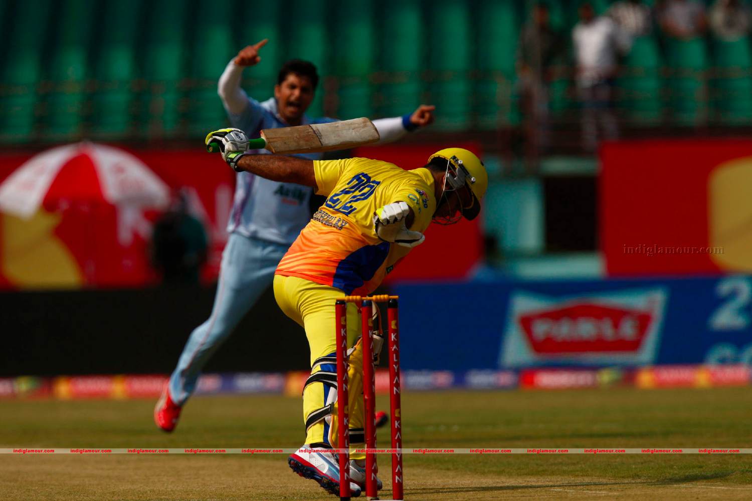 Chennai Rhinos Vs Bhojpuri Dabangs Match Photos Event hd photo