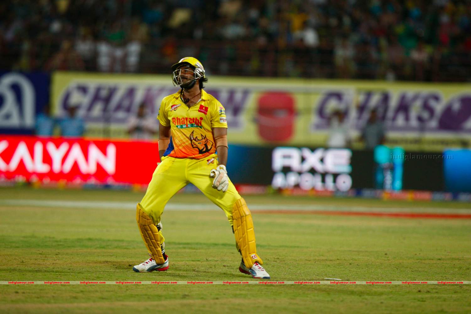 Chennai Rhinos Vs Bhojpuri Dabangs Match Photos Event hd photo