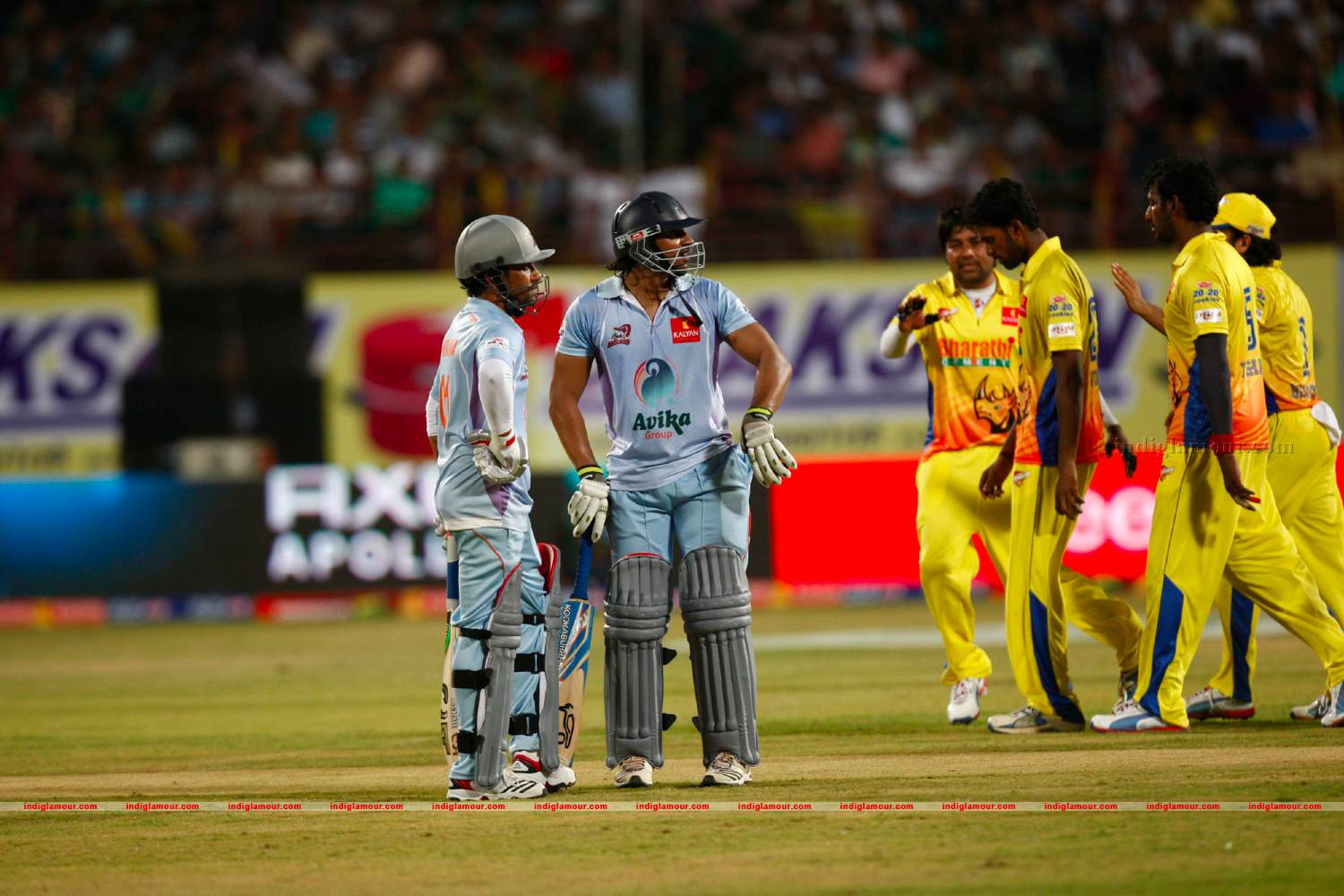Chennai Rhinos Vs Bhojpuri Dabangs Match Photos Event hd photo