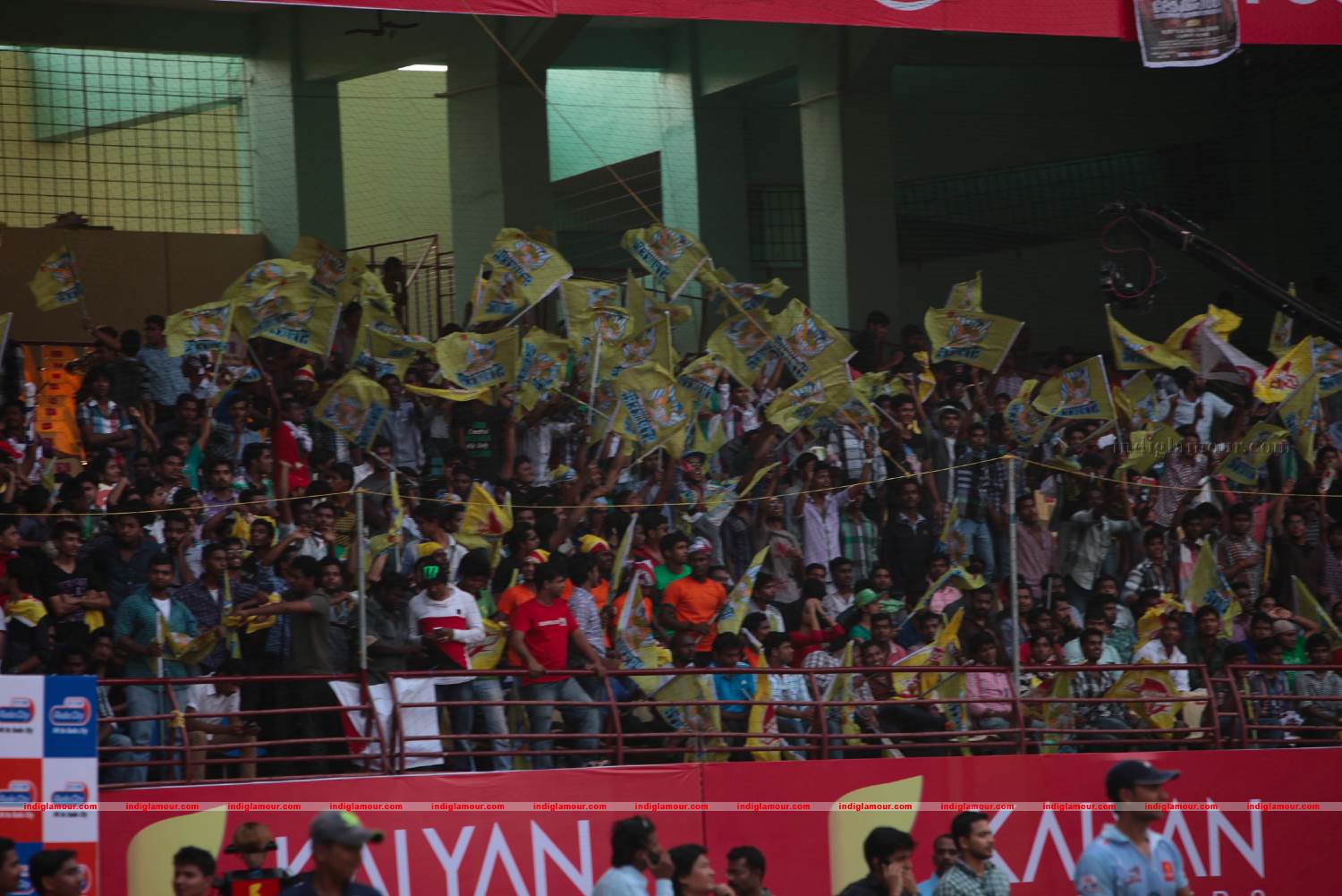Chennai Rhinos Vs Bhojpuri Dabangs Match Photos Event hd photo