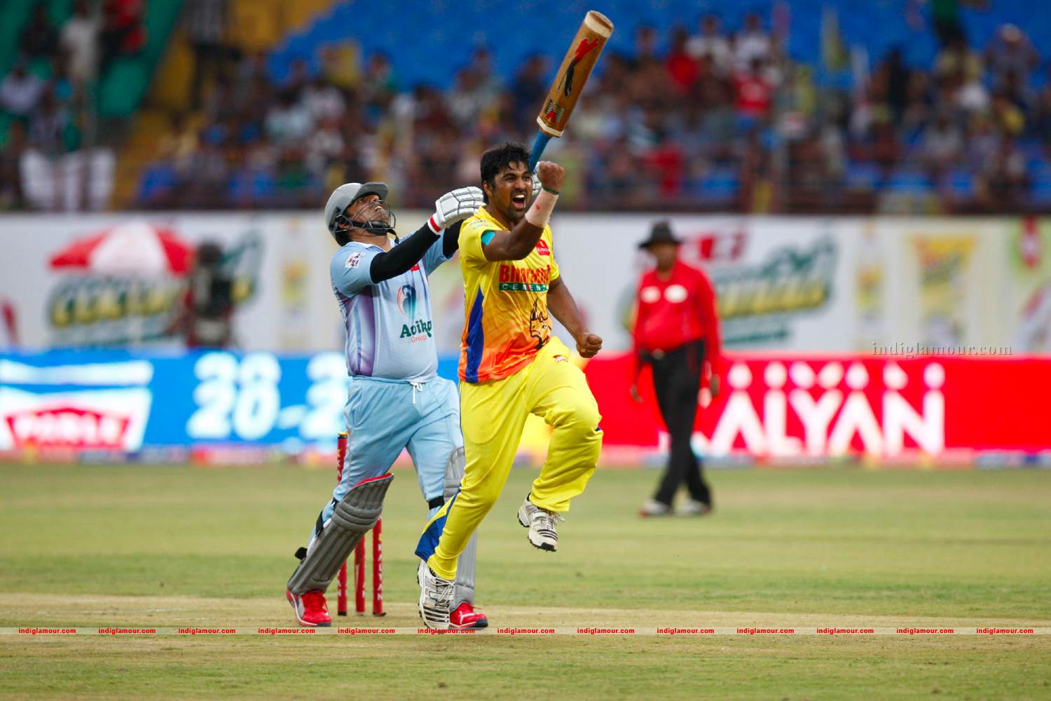 Chennai Rhinos Vs Bhojpuri Dabangs Match Photos Event hd photo