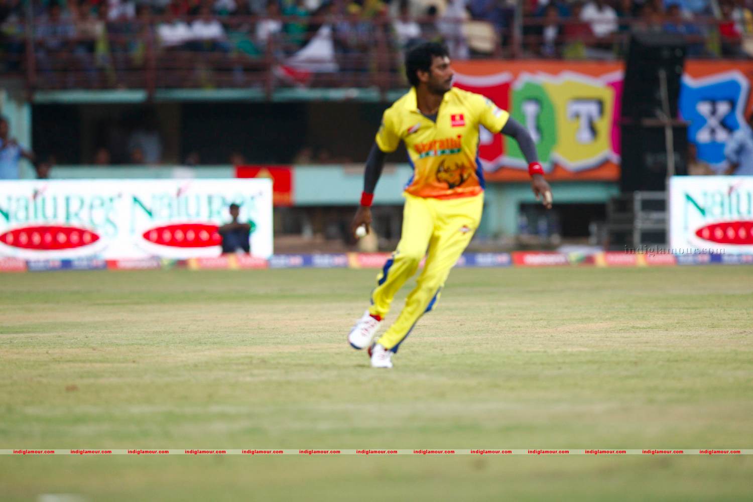 Chennai Rhinos Vs Bhojpuri Dabangs Match Photos Event hd photo