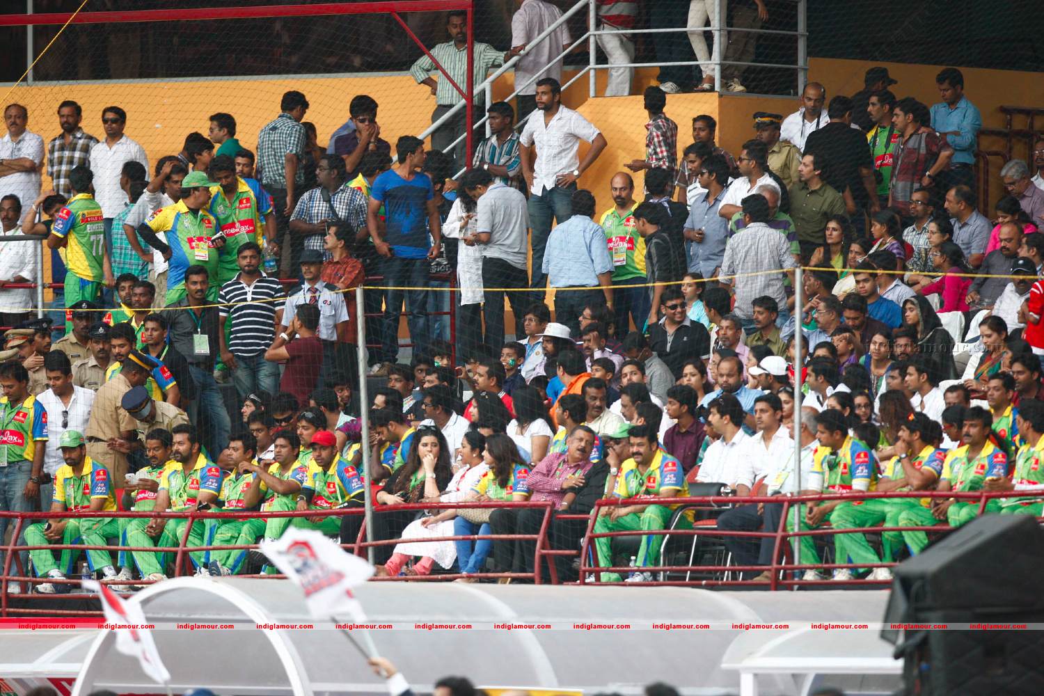 Chennai Rhinos Vs Bhojpuri Dabangs Match Photos Event hd photo