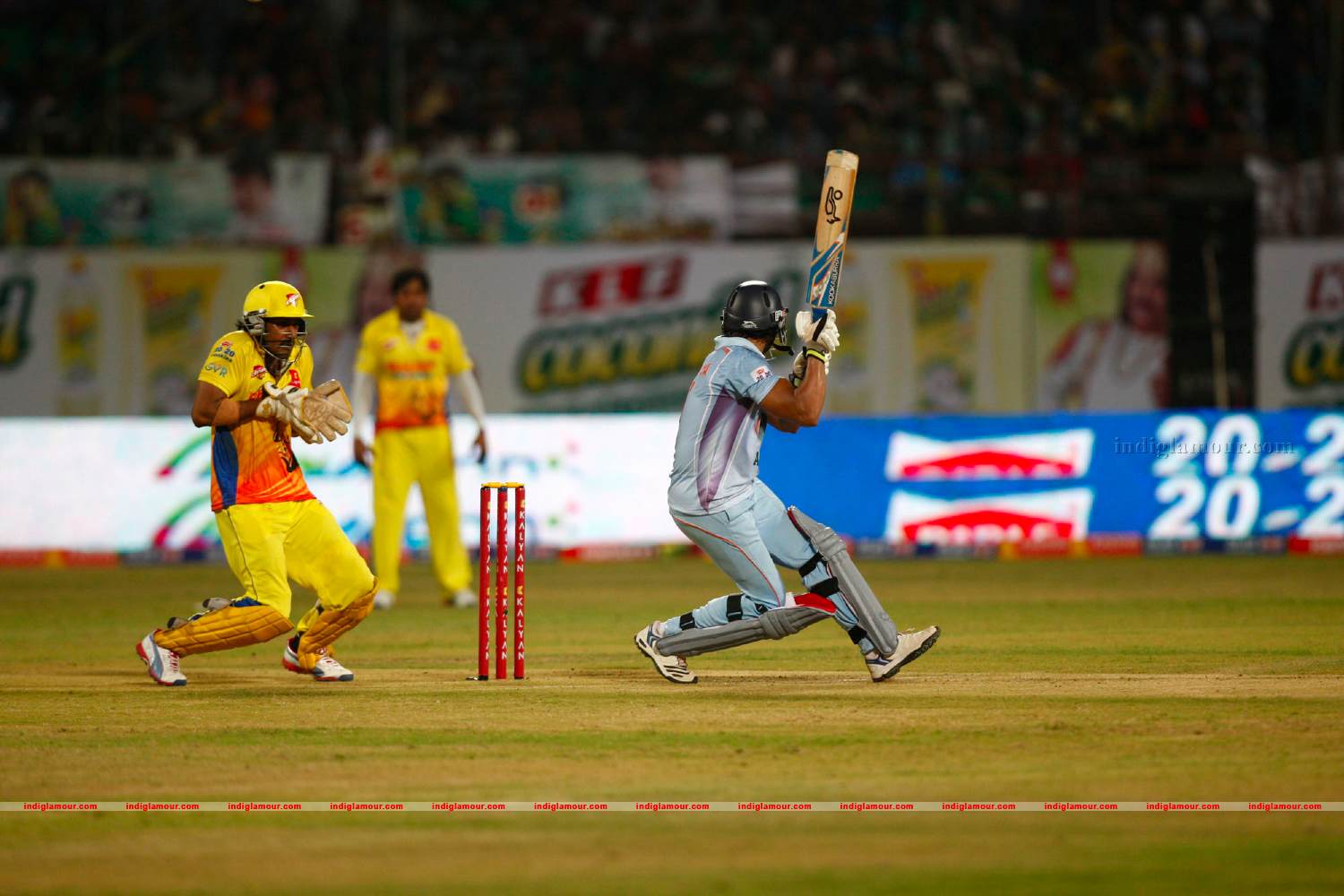 Chennai Rhinos Vs Bhojpuri Dabangs Match Photos Event hd photo