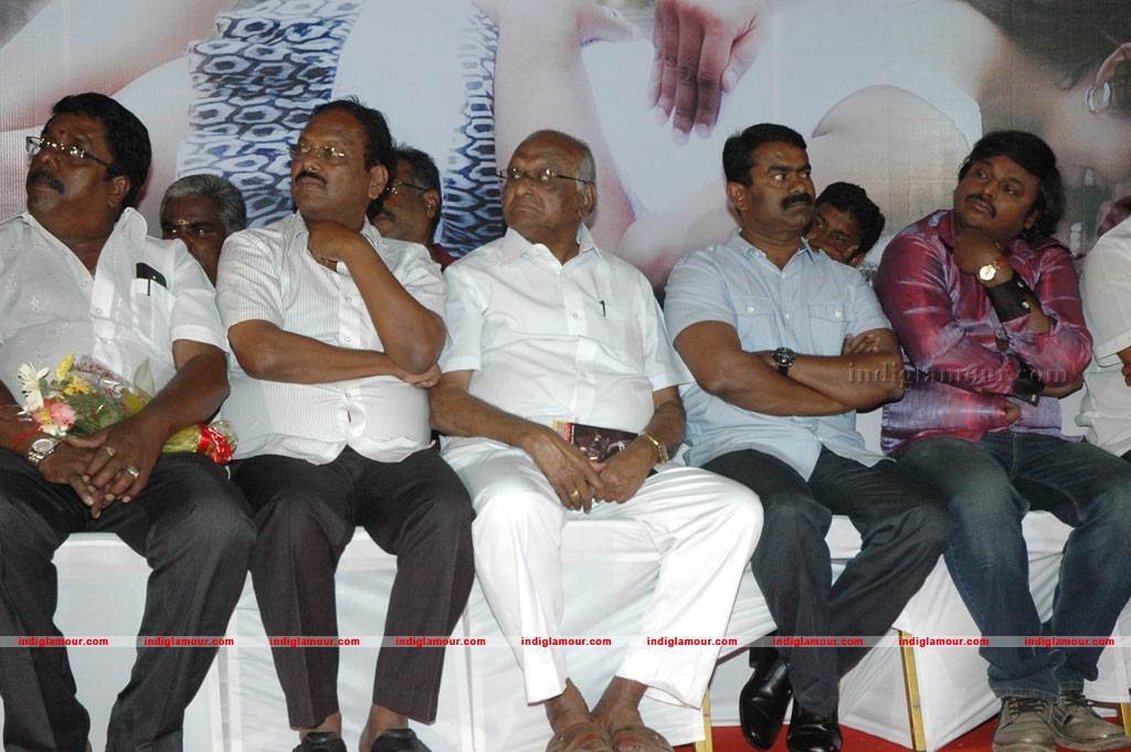 Swasame Movie Audio Launch Event hd photo