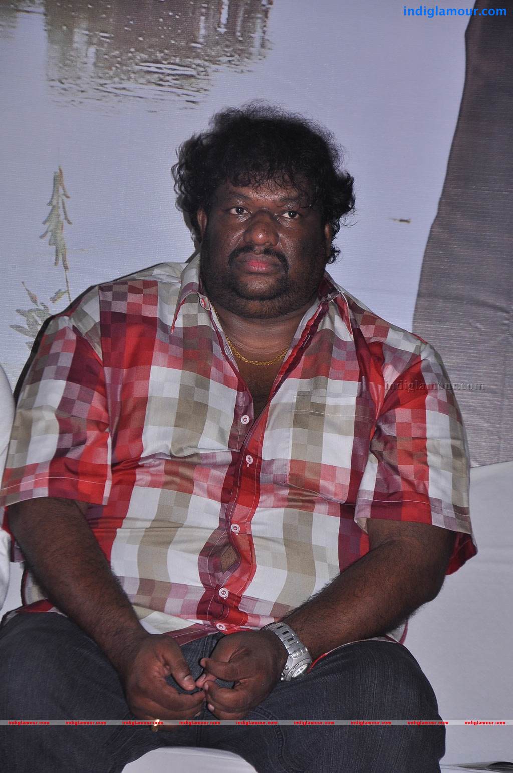 Chandamama Movie Audio Launch Event hd photo