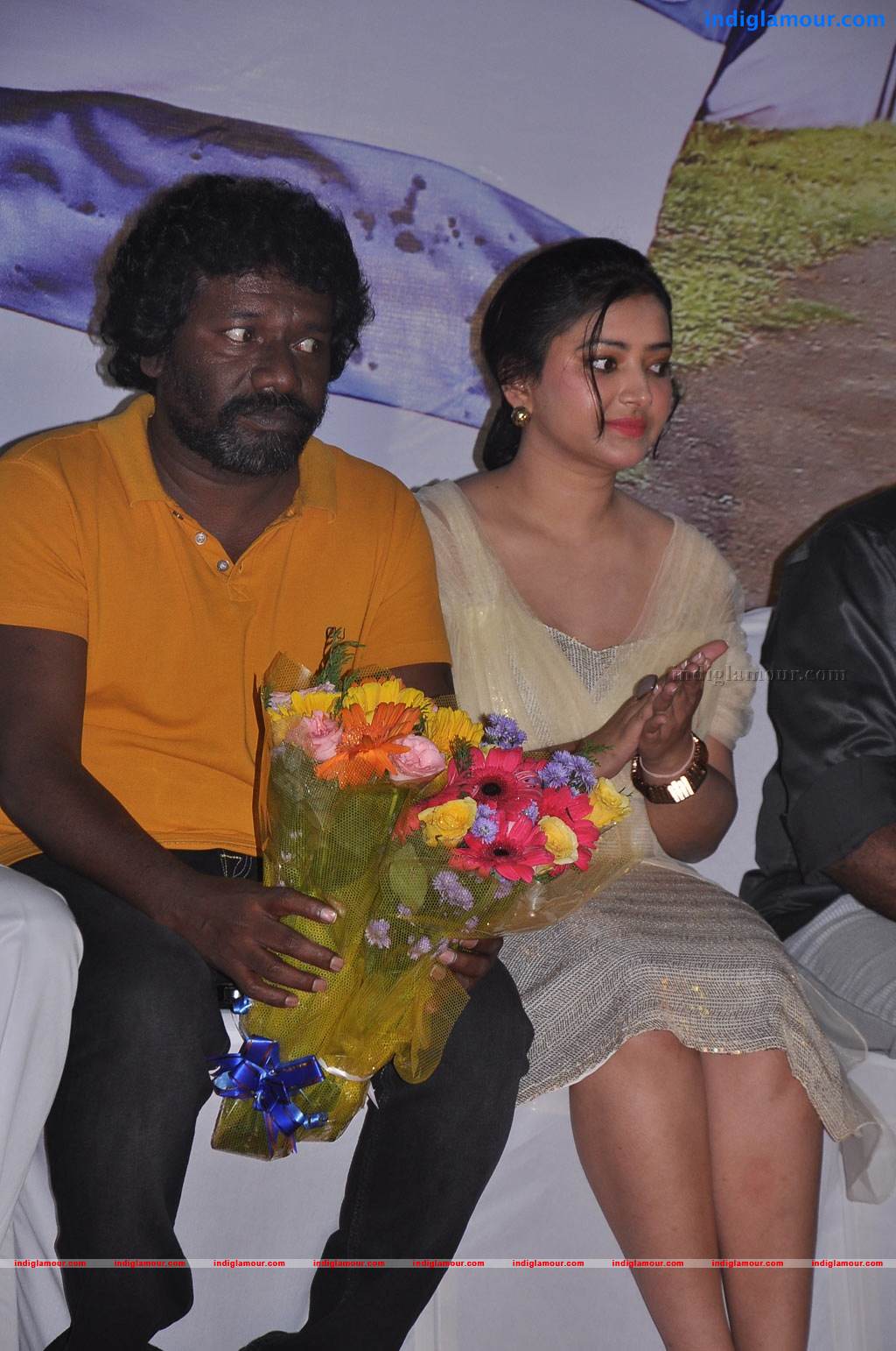 Chandamama Movie Audio Launch Event hd photo