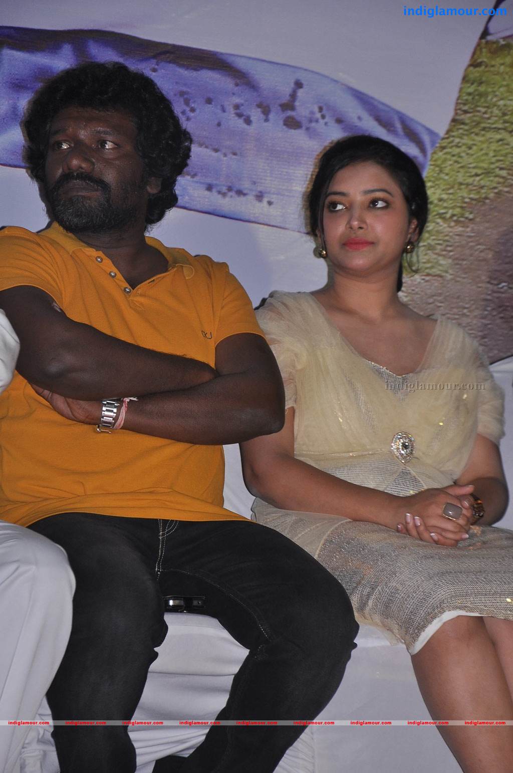 Chandamama Movie Audio Launch Event hd photo