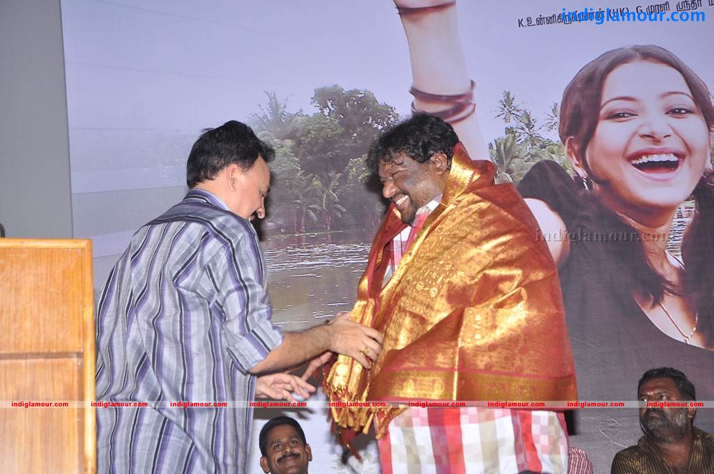 Chandamama Movie Audio Launch Event hd photo