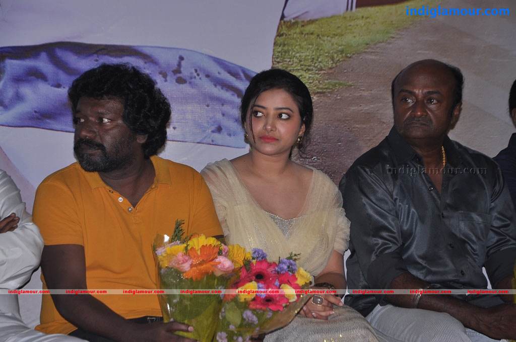 Chandamama Movie Audio Launch Event hd photo