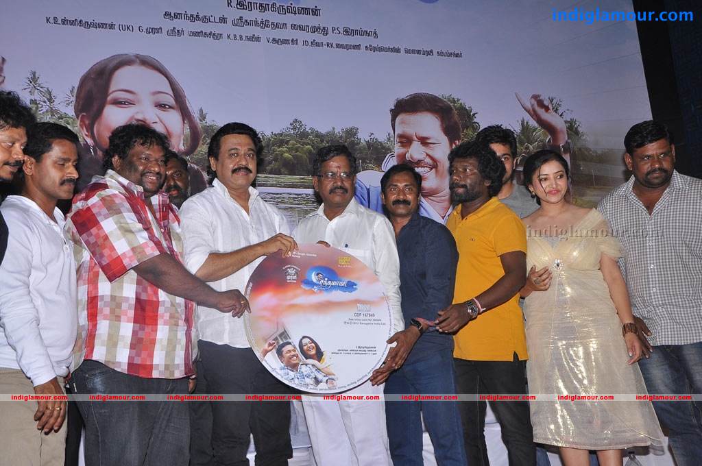 Chandamama Movie Audio Launch Event hd photo