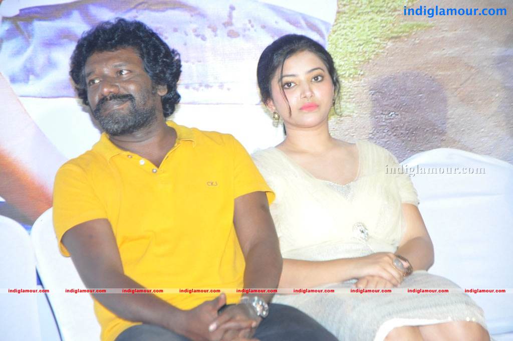 Chandamama Movie Audio Launch Event hd photo
