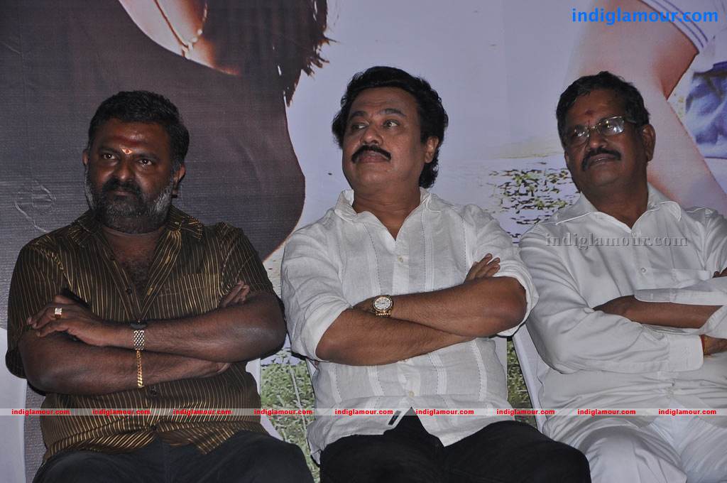 Chandamama Movie Audio Launch Event hd photo