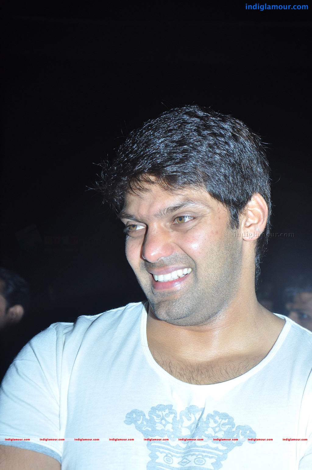 Settai Movie Audio Launch Event hd photo