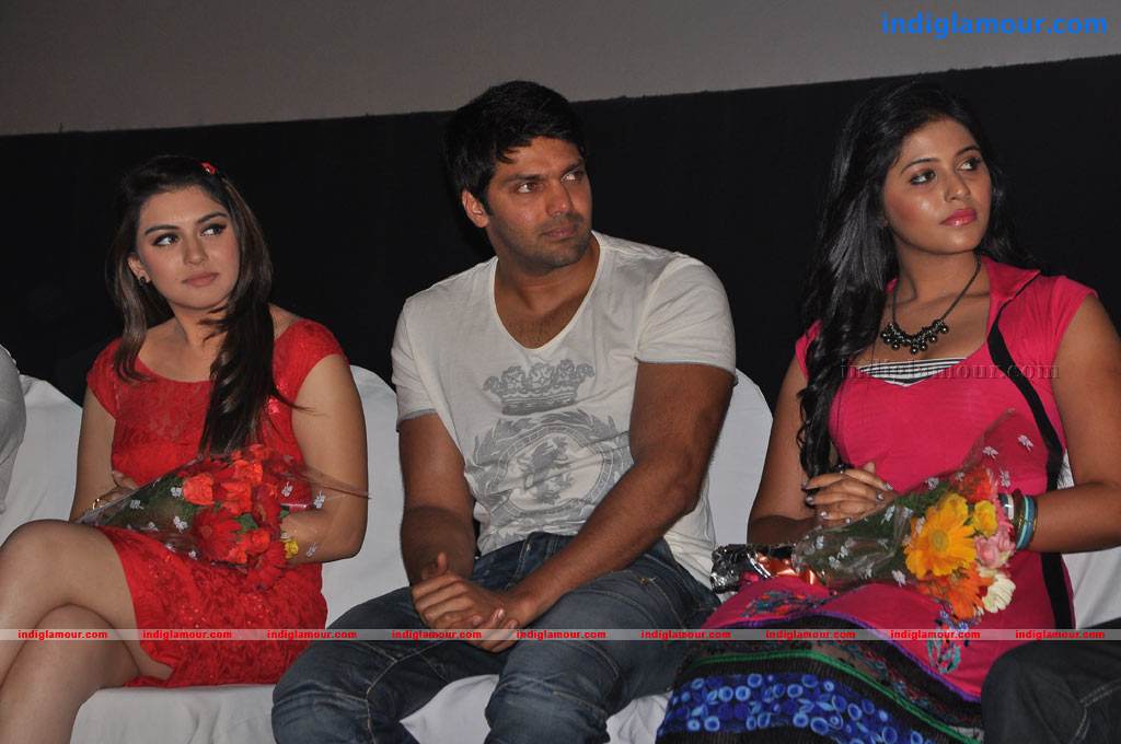 Settai Movie Audio Launch Event hd photo