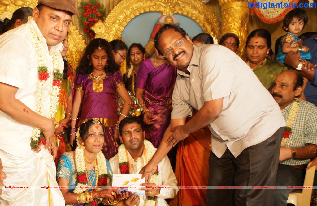 Thampi Ramaiah Daughter Marriage Event hd photo