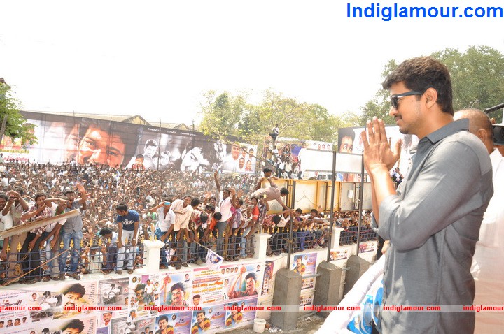 Vijay Solemnises 11 Weddings Event hd photo