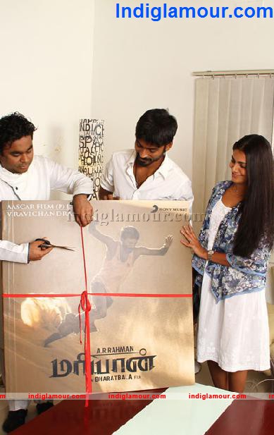 Maryan Movie Audio Launch Event hd photo