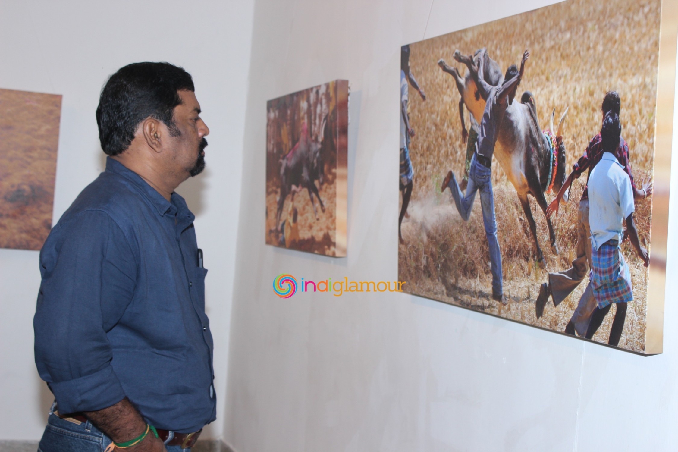 Jallikattu (Veera Vilayattu) Photo Exhibition Opening Ceremony Event hd photo