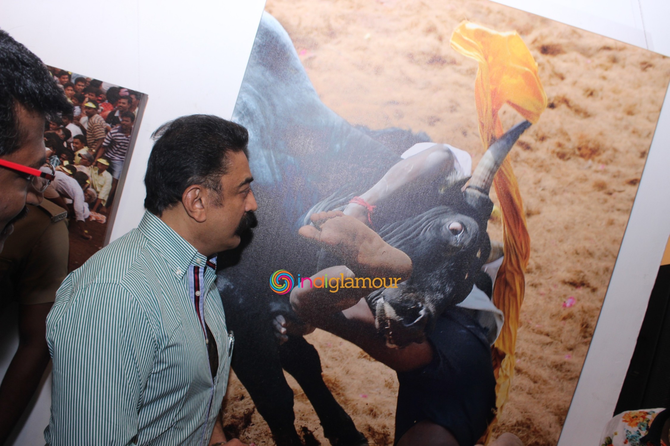 Jallikattu (Veera Vilayattu) Photo Exhibition Opening Ceremony Event hd photo