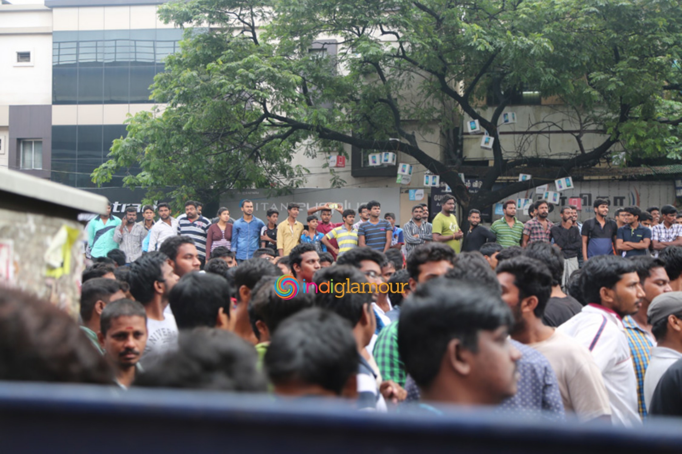 Ajith Fans Celebrate Vedalam Release at Kasi Theatre Event hd photo