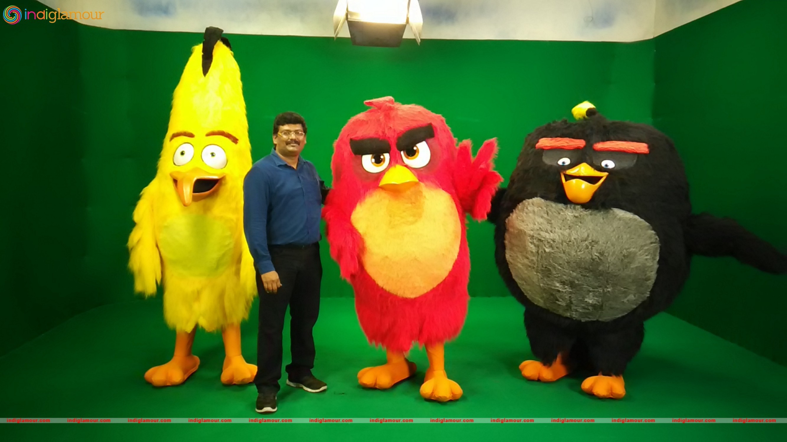 Angry Birds Movie Cast Visits Chennai Event hd photo