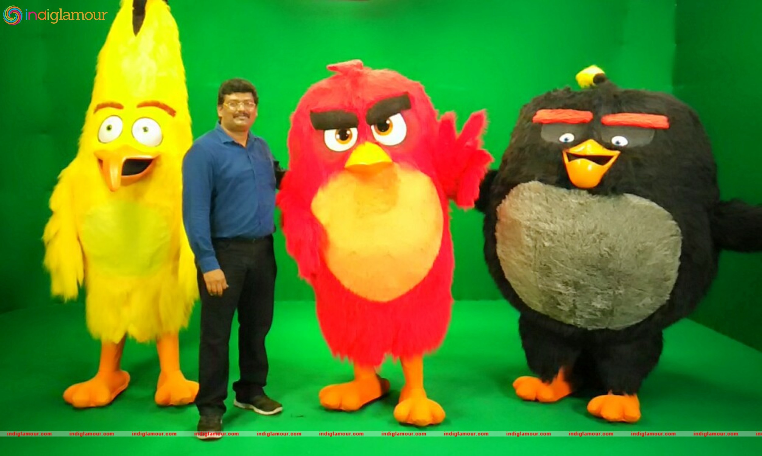 Angry Birds Movie Cast Visits Chennai Event hd photo
