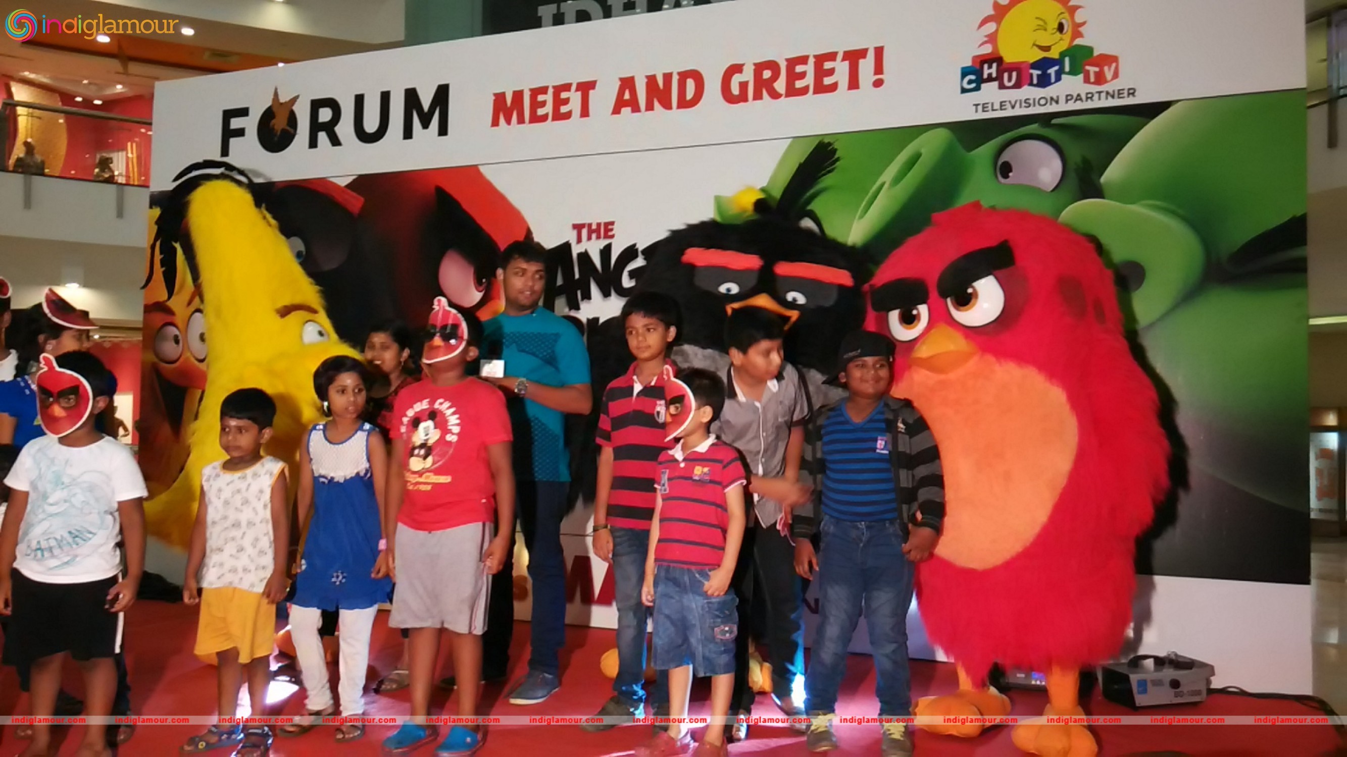 Angry Birds Movie Cast Visits Chennai Event hd photo