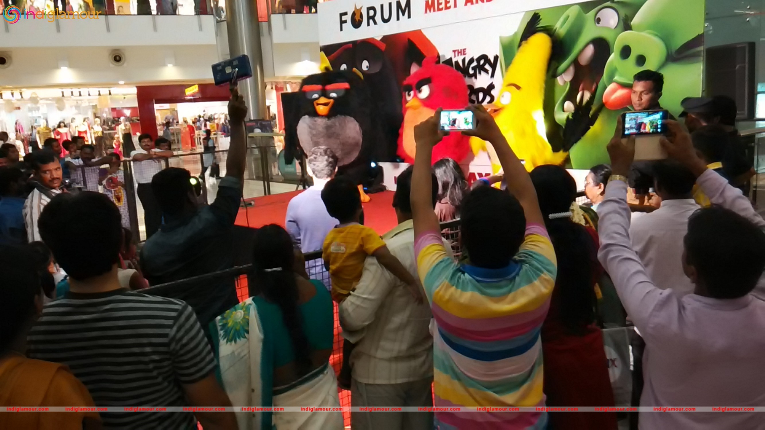 Angry Birds Movie Cast Visits Chennai Event hd photo