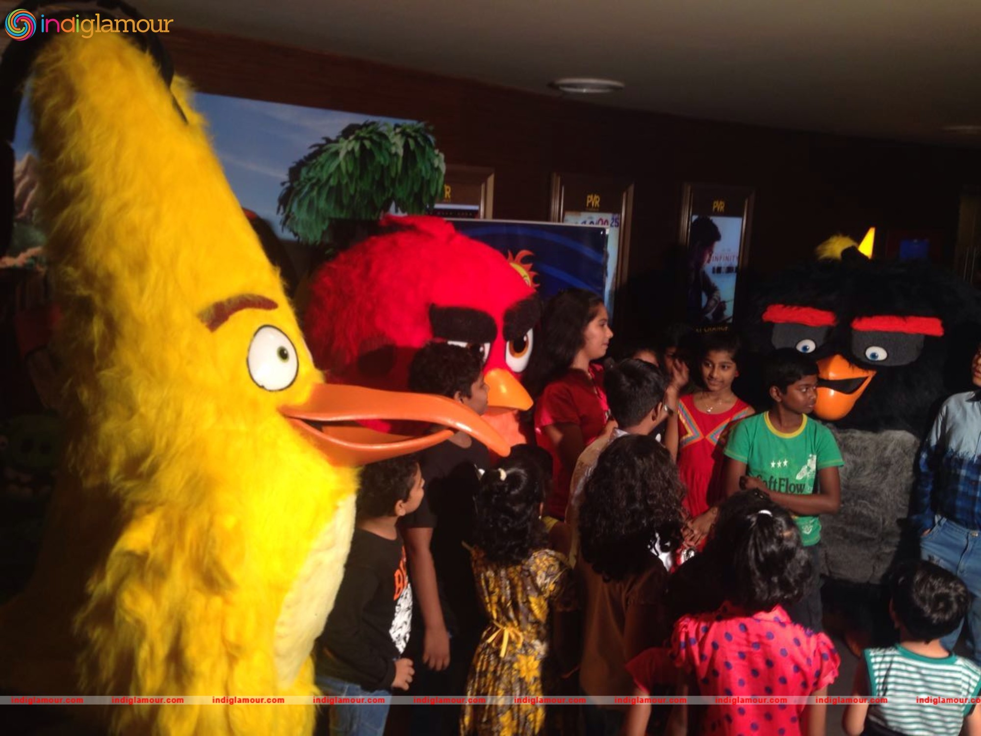Angry Birds Movie Cast Visits Chennai Event hd photo