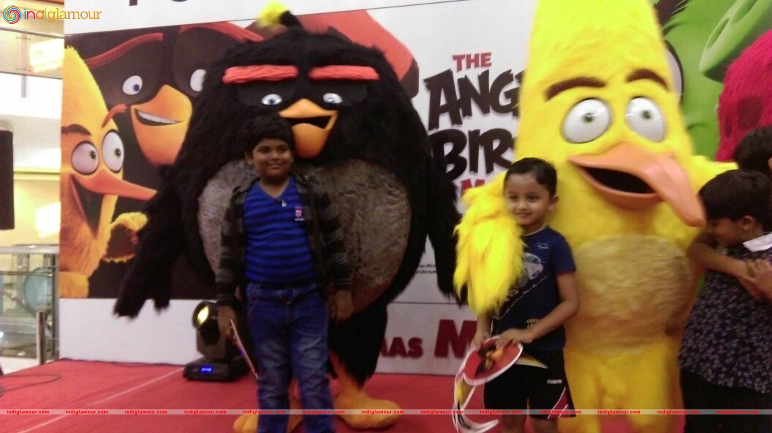 Angry Birds Movie Cast Visits Chennai Event hd photo