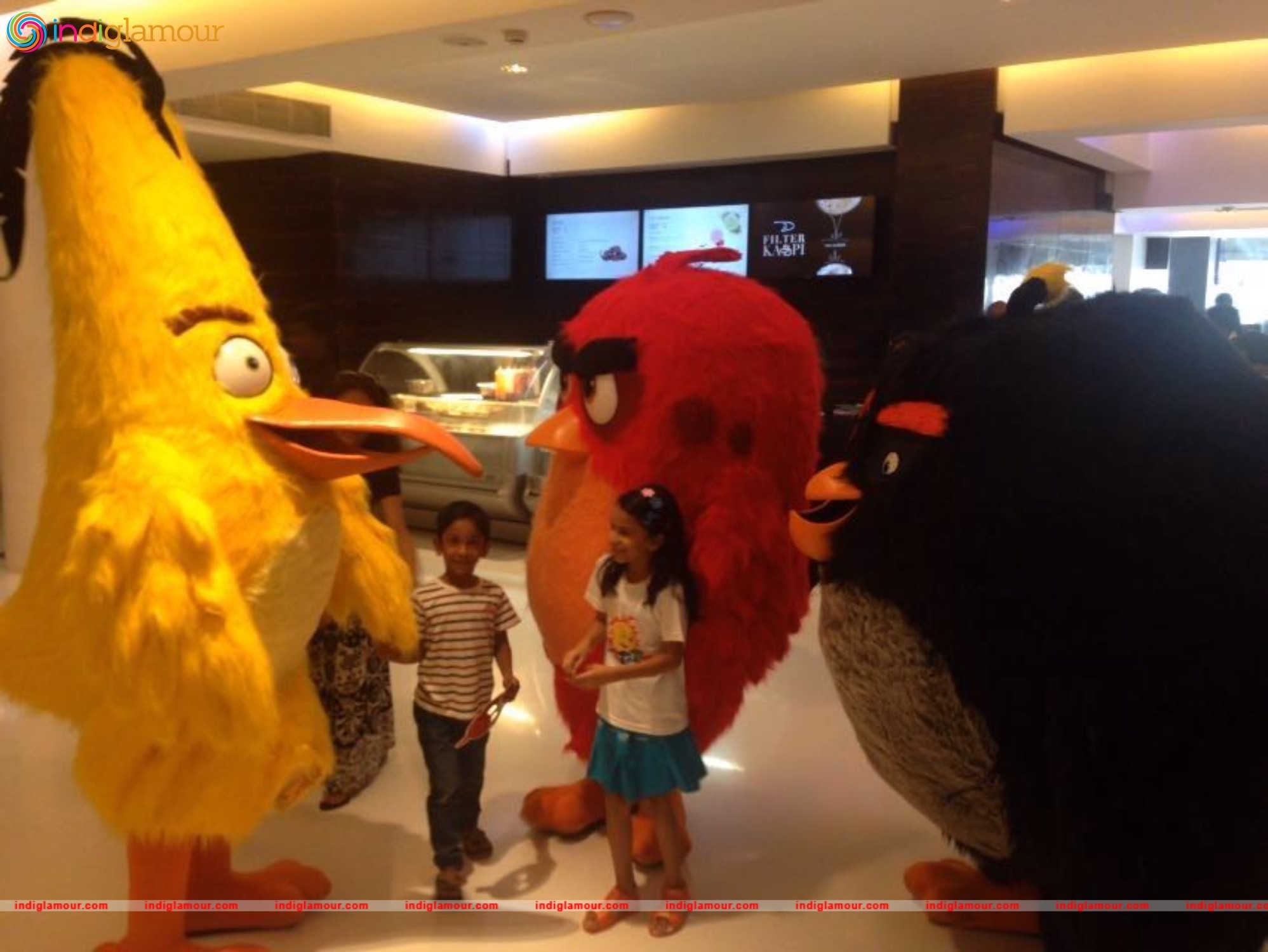 Angry Birds Movie Cast Visits Chennai Event hd photo