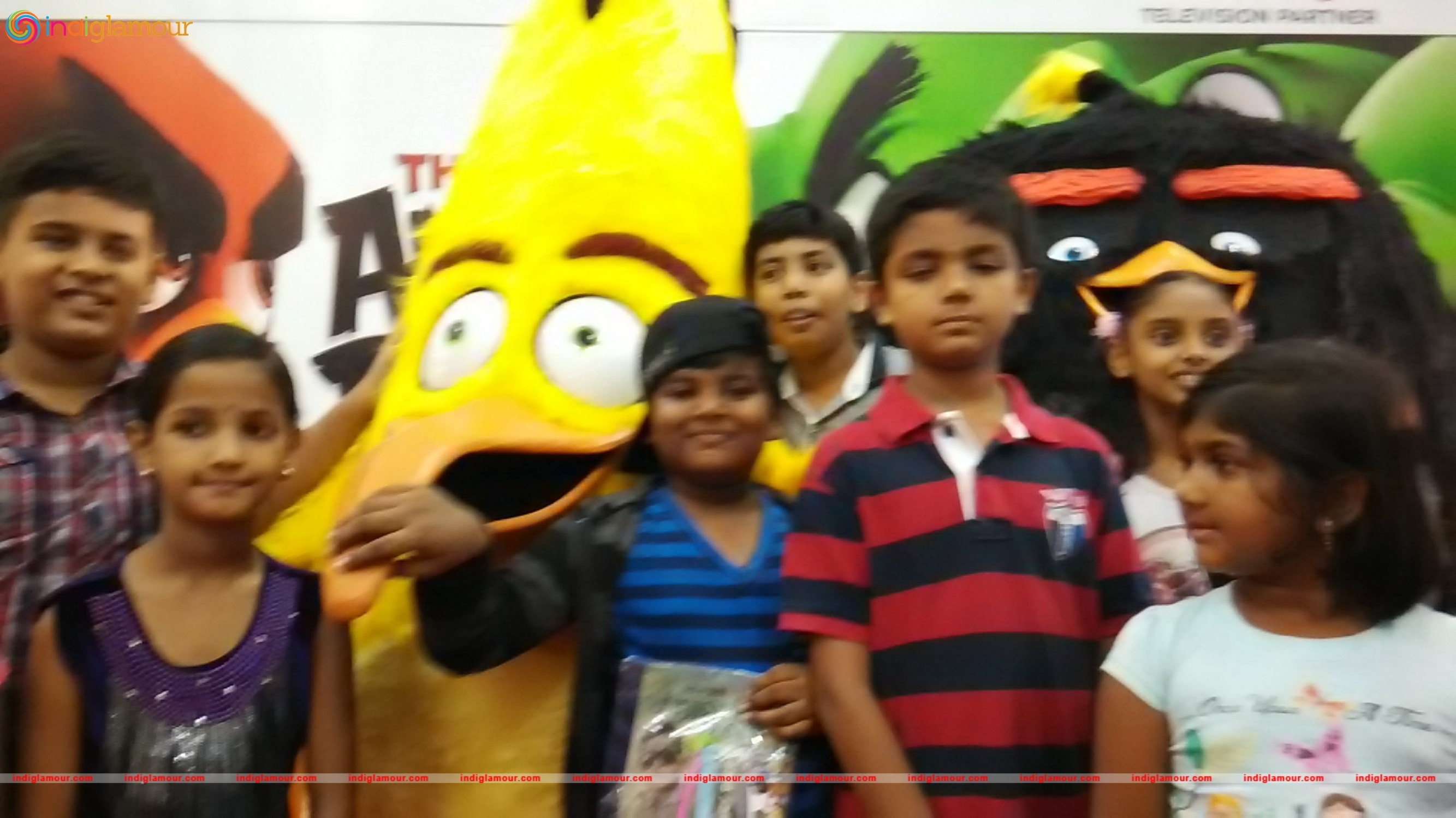 Angry Birds Movie Cast Visits Chennai Event hd photo
