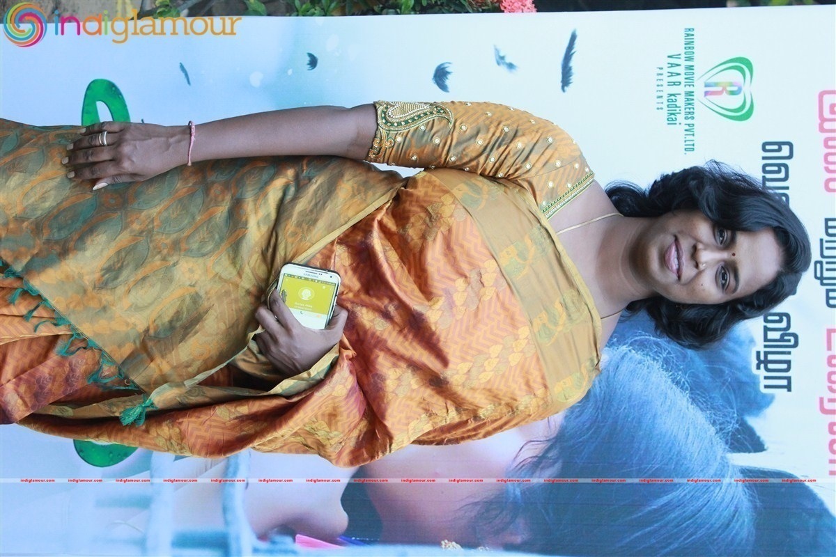 Saaral Movie Audio Launch Event hd photo