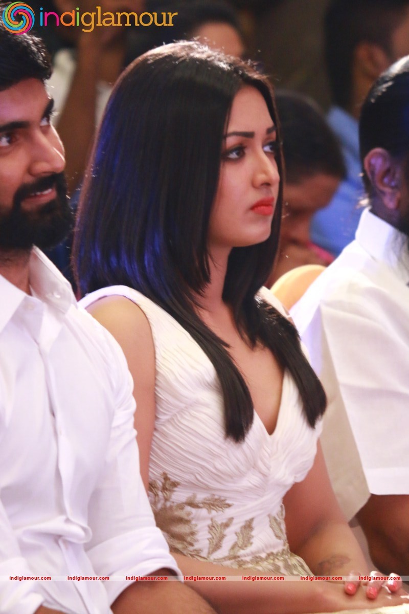 Kanithan Movie Audio Launch Photos Event hd photo