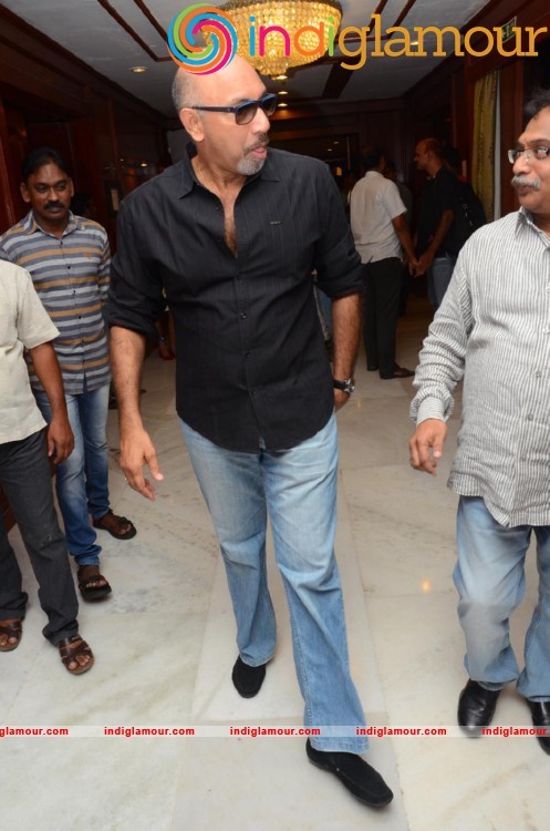 Dora Movie Audio Launch Event hd photo
