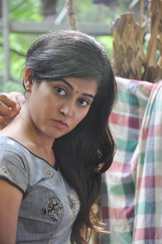 Disha Pandey Actress hd photo