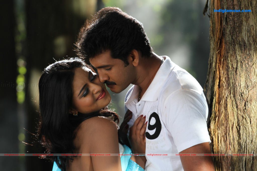 Nakshatra Actress hd photo