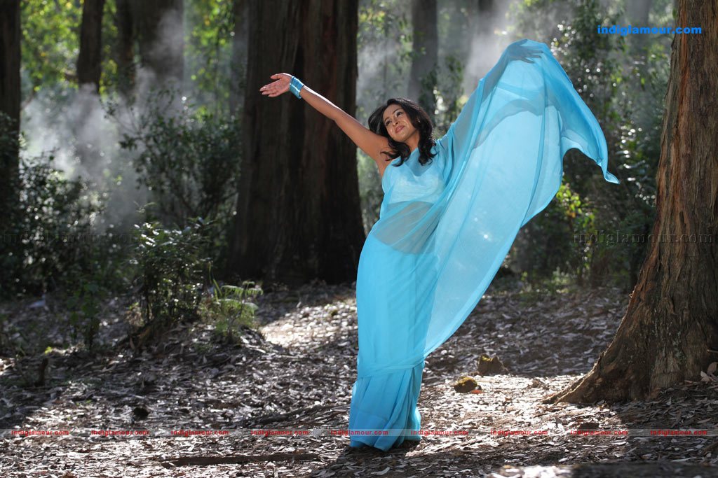 Nakshatra Actress hd photo