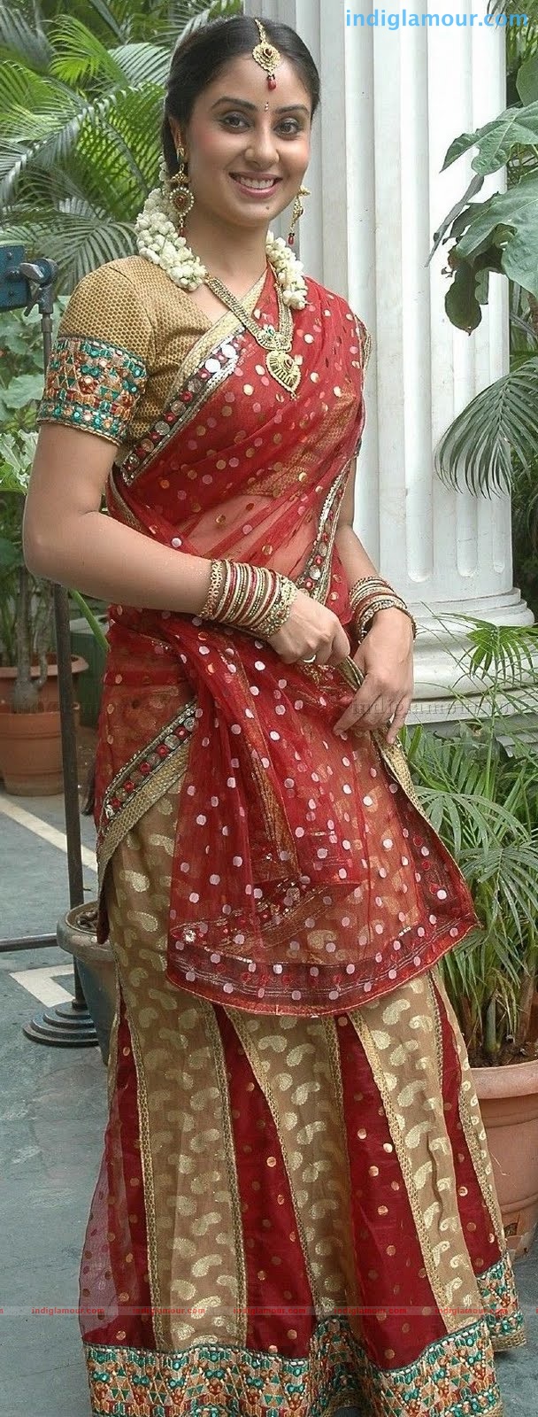 Bhanu Sri Mehra Actress hd photo