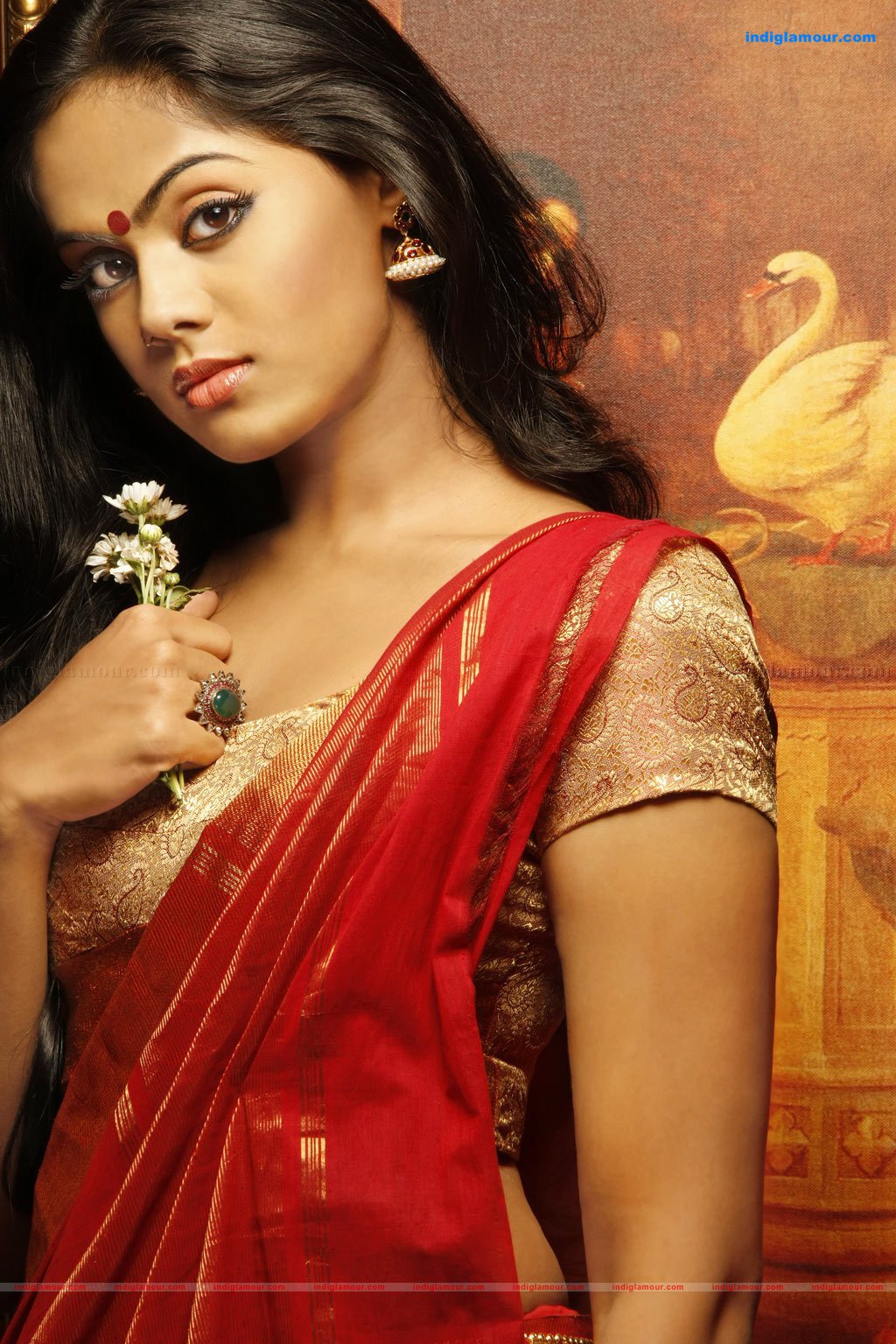 Karthika Nair  Actress hd photo