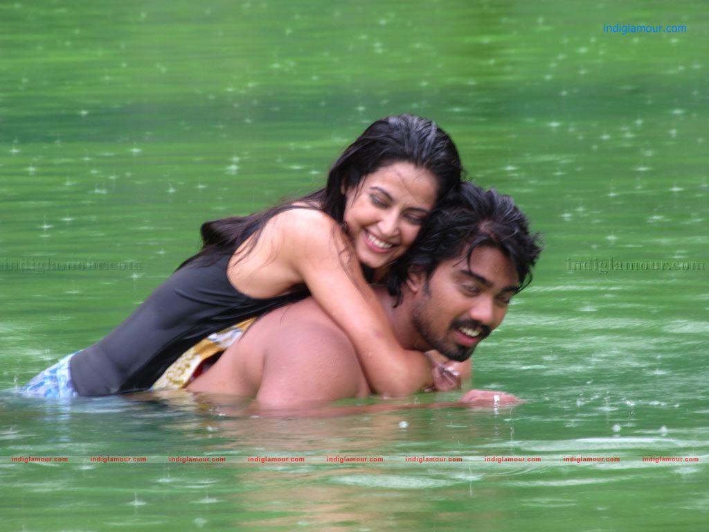 Disha Pandey Actress hd photo