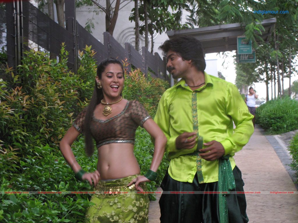 Disha Pandey Actress hd photo