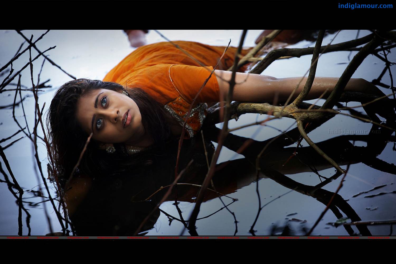 Priyalal Actress hd photo